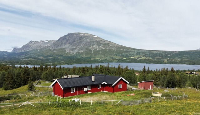 Secluded Cabin in Hemsedal with Sauna in Hemsedal