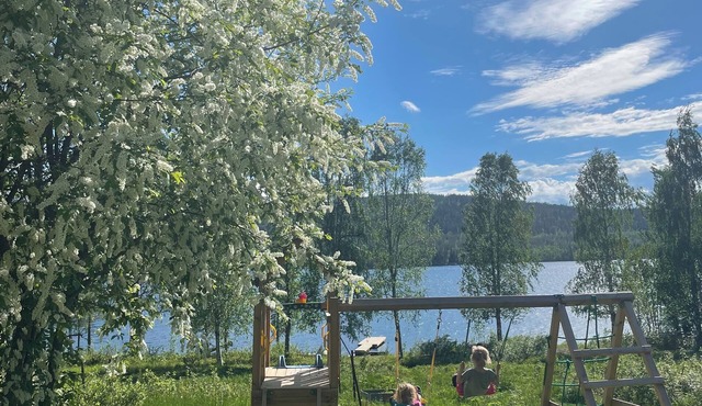 Serene 1-bedroom lakeside cabin at the arctic circle perfect for a cozy getaway