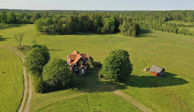 Serene views in the Småland forest