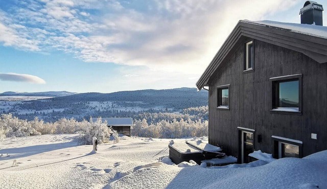Simple cabin life in this nature cabin in Uvdal