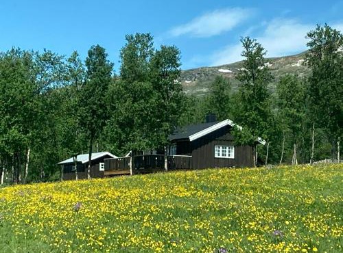 Simple Mountain Cabin Near Vinstra