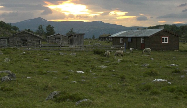 Sits in the middle of Reinheimen and Dovrefjell Rondane