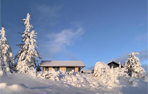 Sjusjøen Pihl 4020