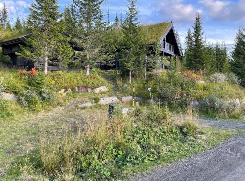 Ski and Bike-In and Out in Hafjell