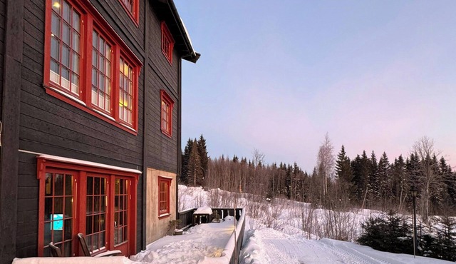 Ski in ski out apartment by slope 13 in Trysil