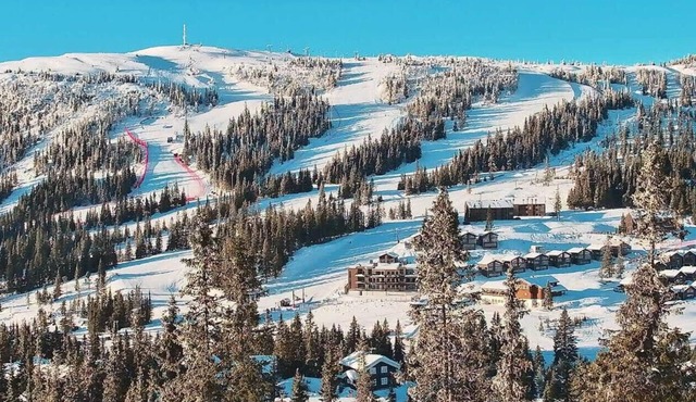 Ski-in/Ski-out cabin in the middle of the slopes