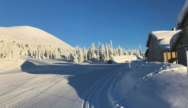 Ski-in/ski-out in Trysil Mountain Lodge
