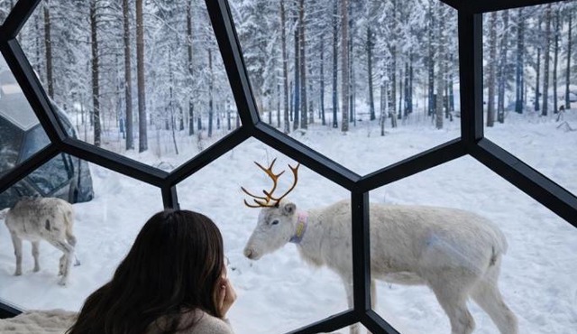 SKOG Aurora Glass Igloos