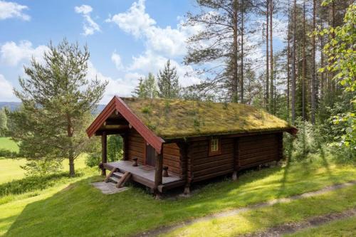 Skogcamping