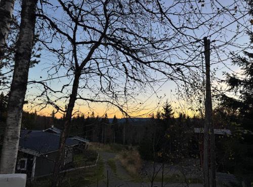 Skogshytte på Skreia