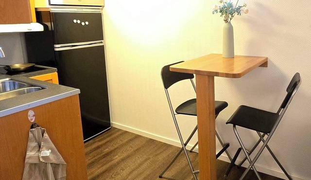 Small cozy basement apartment