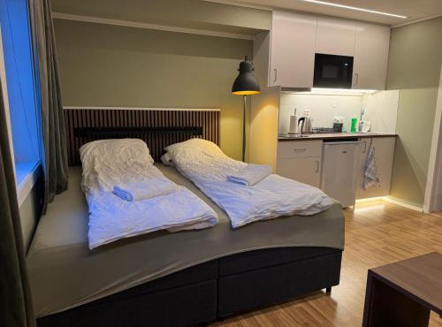 Smart mini apartment with kitchen
