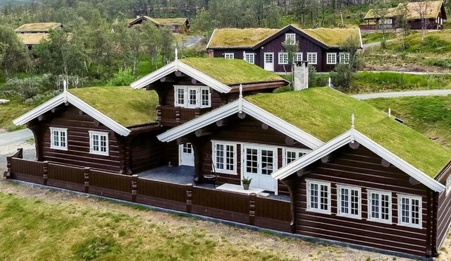 Soulful Cabin With Ski-In Access In Rauland
