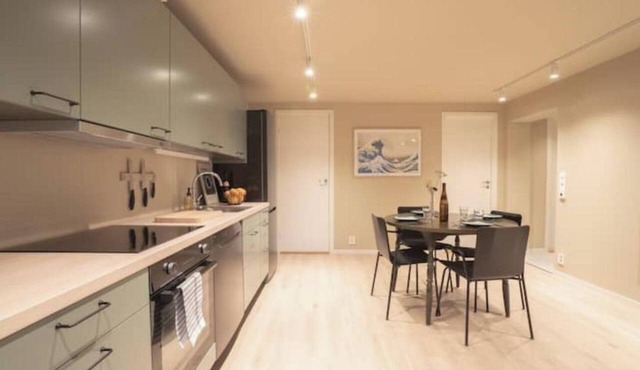 Spacious and elegant apartment in Troms