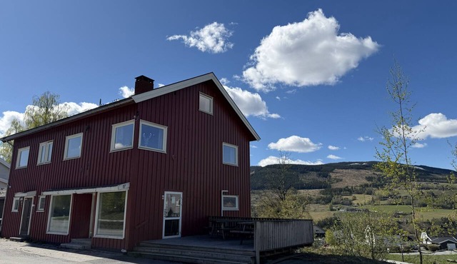 Spacious apartment in Follebu