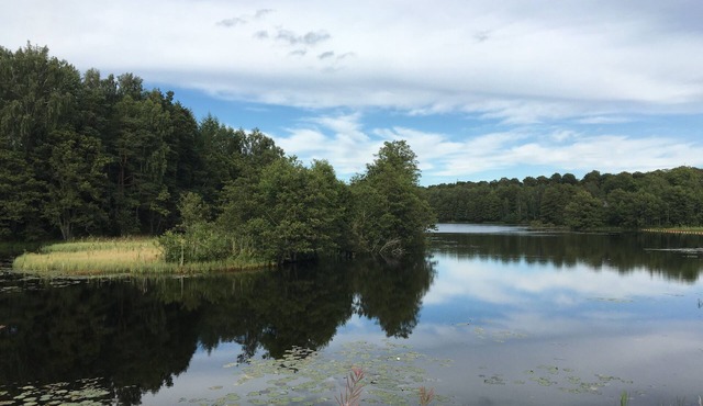 Spacious, comfortable house with a fireplace and a pool for 8 people on the riverbank in Markaryd