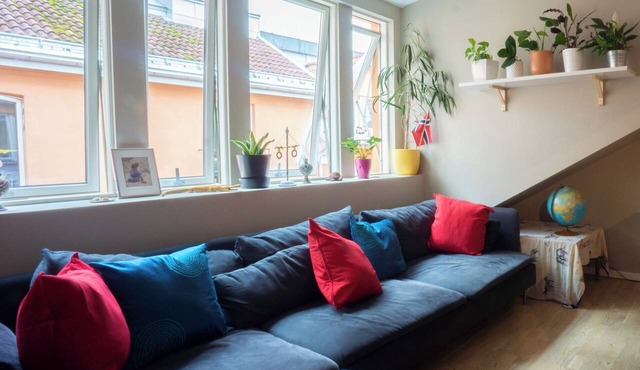 Spacious, High-End Loft Apartment in the City Center in Oslo