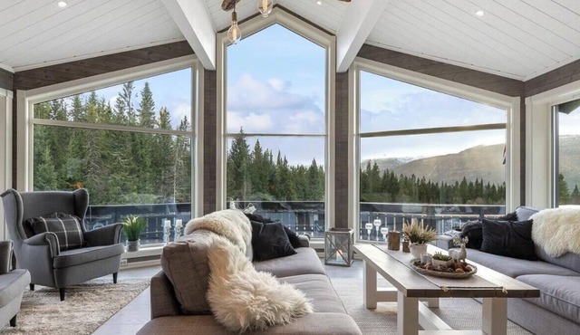 Spacious modern cabin in a quiet setting on Voss