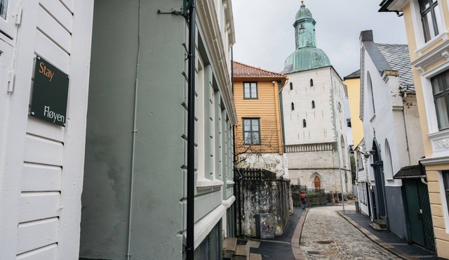 Stay Fløyen