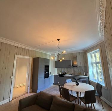 Stor leilighet ved Slottsparken