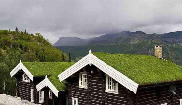 Stor og eksklusiv tømmerhytte Hemsedal