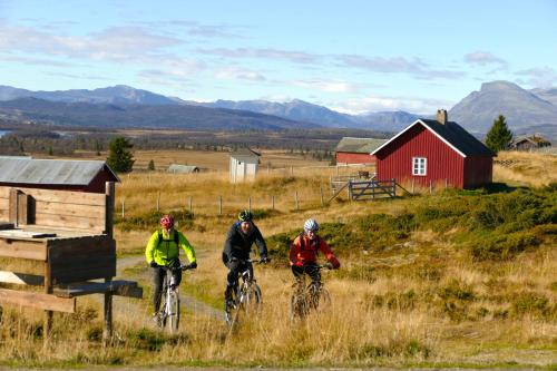 Storefjell Resort in Gol