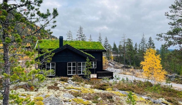 Storekleiv Hyttefelt Tuddal