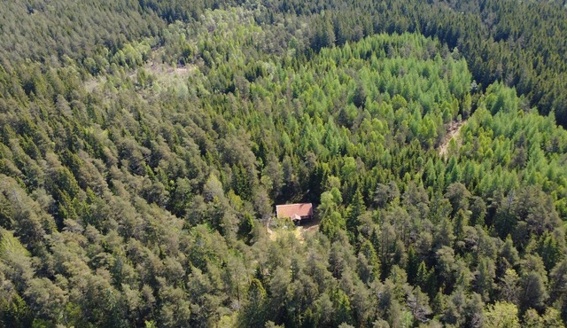 Stuga Rödhak – Cozy Swedish Cottage in Secluded Forest Location in Småland