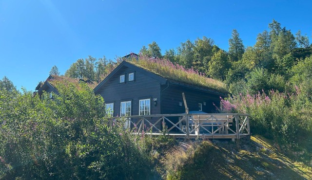 Stunning home in åseral with WiFi