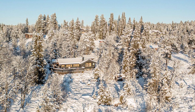 Stunning home in Gol with sauna