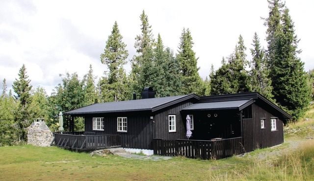 Stunning home in Sjusjøen with kitchen