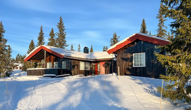 Stunning home in Sjusjøen with sauna