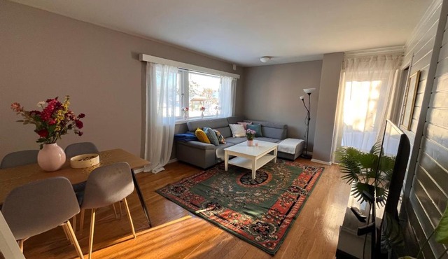 Stylish 2-bedrooms apartment, smart TV, Netflix, parking - Oslo in Oslo
