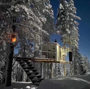 Swedish Treehouse