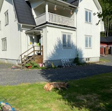 Täppan in Syssleback