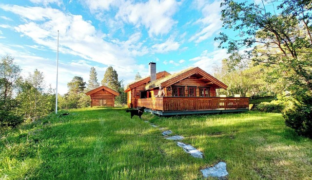 Timber cabin with view over highlands near Røros