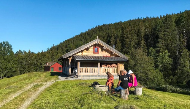 Tjonnas Farm Stay in Hjartdal Municipality