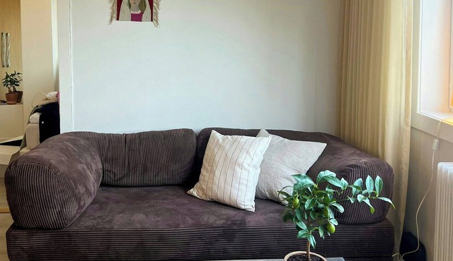Top-floor flat with views over Oslo and Østmarka in Oslo