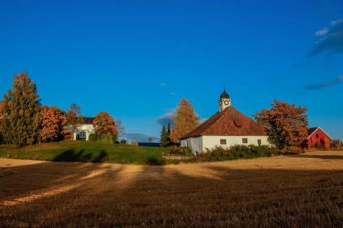 Torshov Gård, Viking grounds
