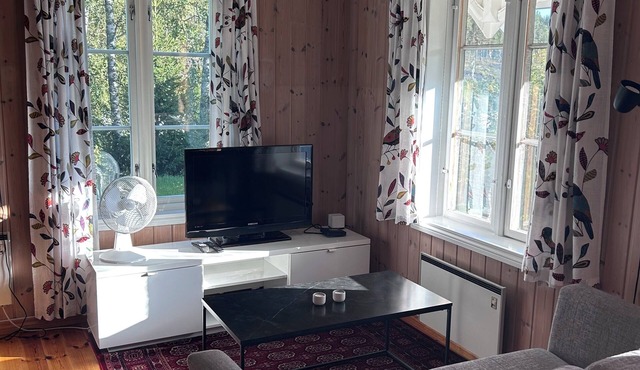 Tovsrud Gård Gjestehus - cozy holiday home in historic surroundings