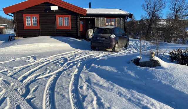 Traditional cabin in Nøsterbølia