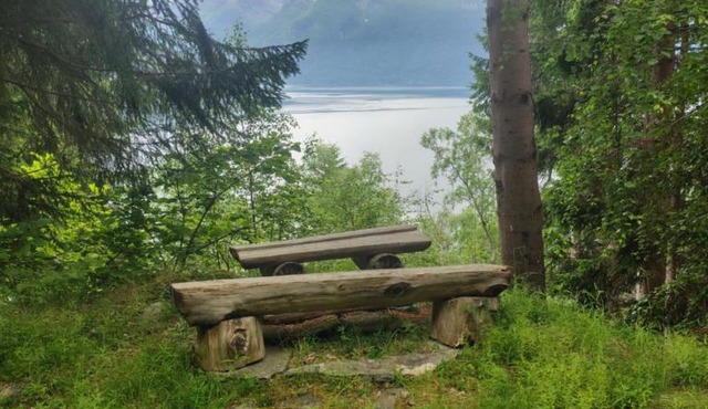 U Maxa , całe mieszkanie na wyłączność in Sogndal