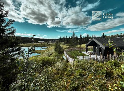 Unique cabin with fantastic lake view, sauna, ski & EV outlet