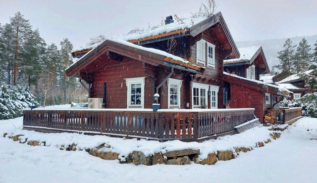 Unique log cabin in beautiful Vrådal