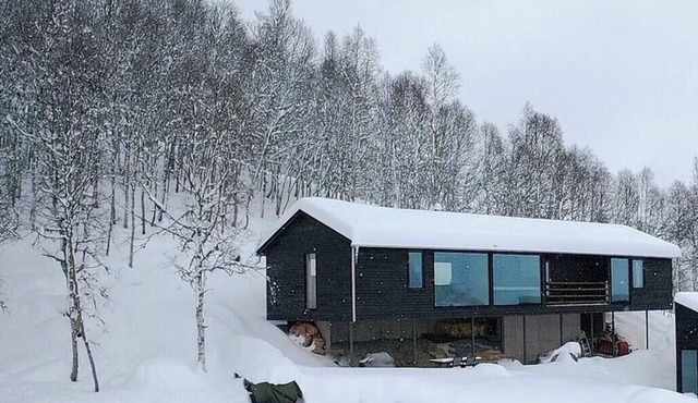 Unique, modern cabin with a stunning view
