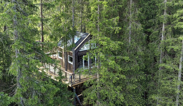 Unique treetop cabin in forest, Lårdal