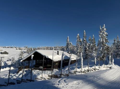 Utsikt mot fjellene Ski in out 16 sengeplasser