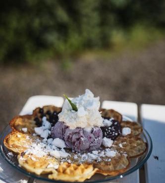 Våffelcafé Bed & Breakfast in Dannäs
