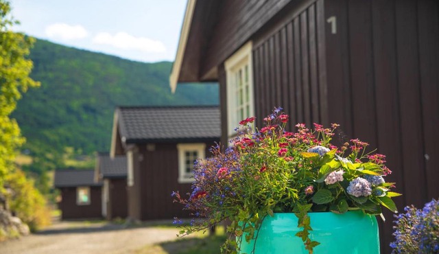 Vågåvatnet Feriesenter in Vågåmo