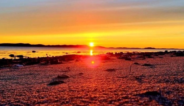 Våg Helgeland